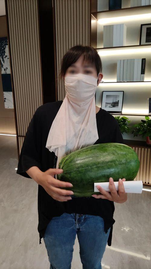 网红大瓜博雅吃瓜视频最全观看,全网最全大瓜盘点，一网打尽网红圈热点